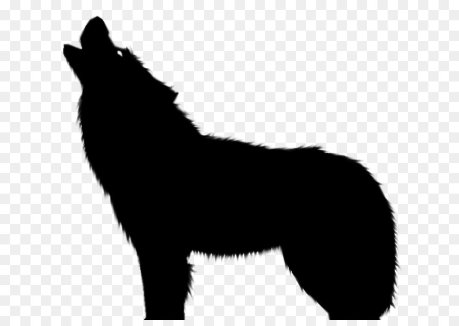 Gray wolf Silhouette Drawing Clip art - Wolf Silhouette png download - 686*628 - Free Transparent Gray Wolf png Download.