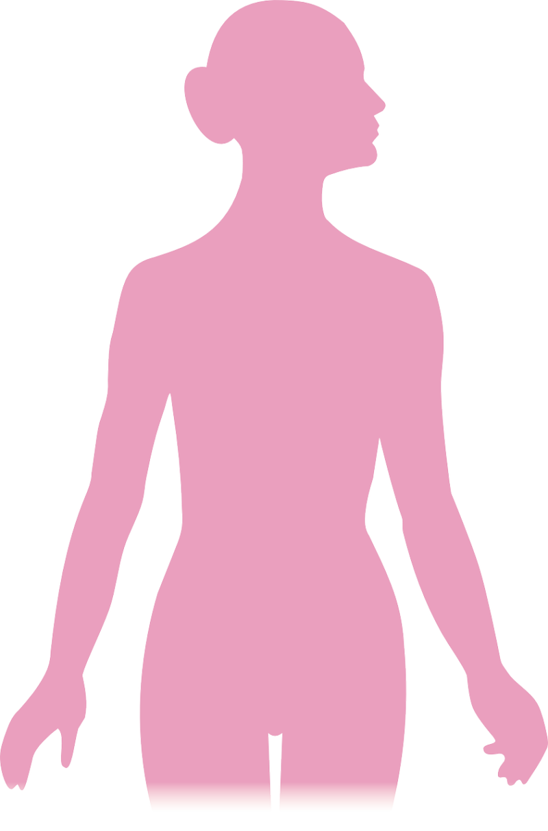 woman human body outline

