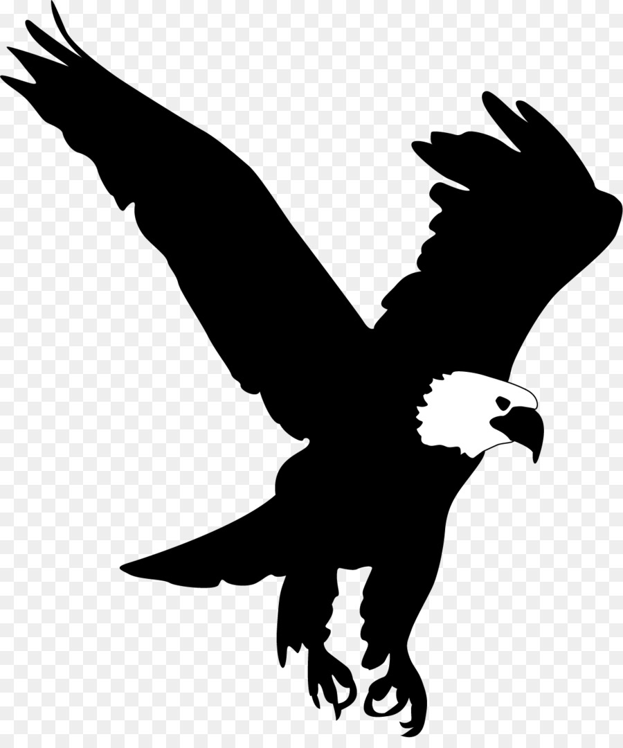 Bald Eagle Clip art - Eagle wings png download - 1135*1343 - Free Transparent Bald Eagle png Download.