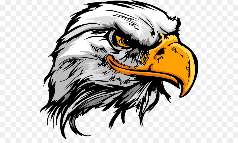 Featured image of post Bald Eagle Head Clipart Black And White Bald eagle bird of prey bald eagle golden eagle logo kepala rajawali transparent background png clipart