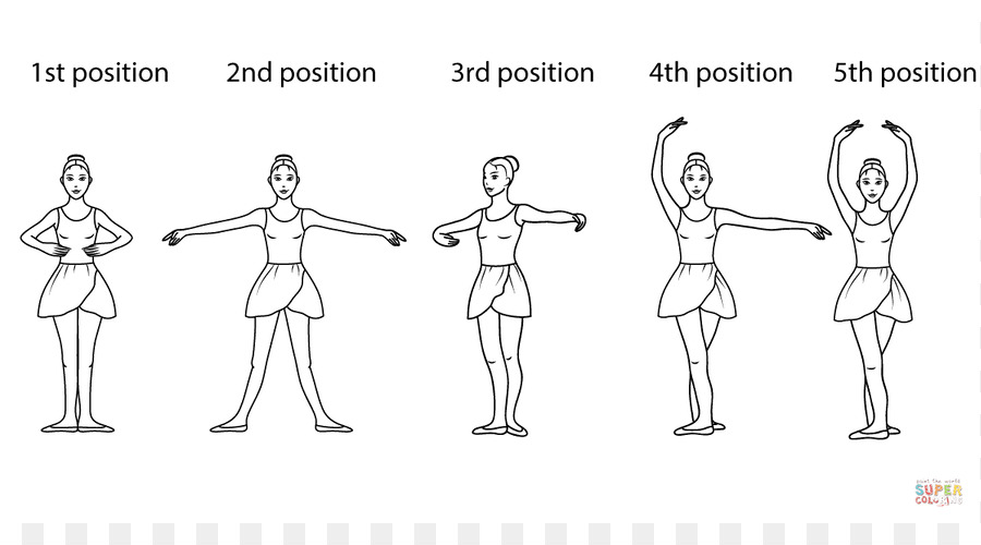 Positions of the feet in ballet Ballet Dancer - Ballet Steps Cliparts png download - 1199*640 - Free Transparent  png Download.