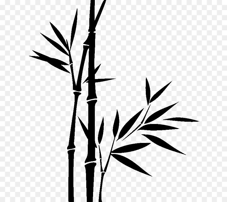 Bamboo Drawing - bamboo png download - 800*800 - Free Transparent Bamboo png Download.