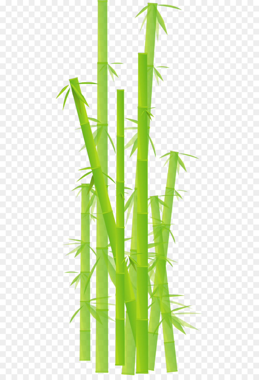 Bamboo Clip art - Bamboo Cliparts png download - 512*1303 - Free Transparent Bamboo png Download.