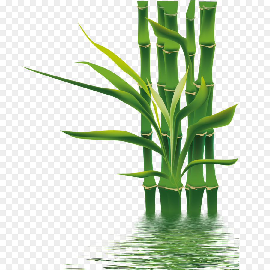 Bamboo If(we) Bamboe Wallpaper - bamboo png download - 1417*1417 - Free Transparent Bamboo png Download.
