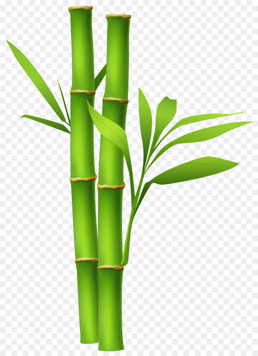 Bamboo Clip art - Bamboo Background Cliparts png download - 3849*5302 - Free Transparent Bamboo png Download.