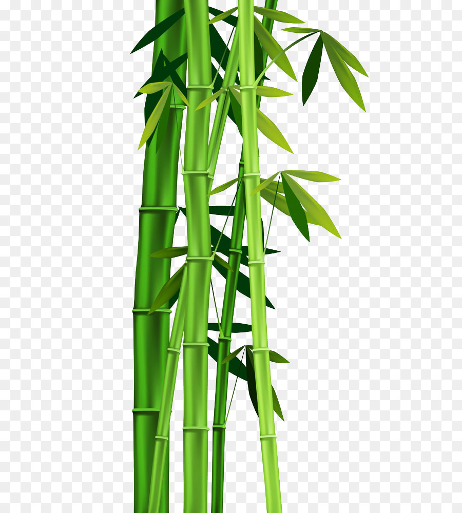 Bamboo Clip art - Bamboo leaves png download - 709*1000 - Free Transparent Bamboo png Download.