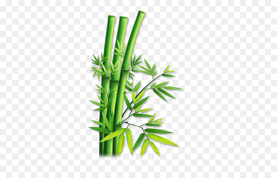 Hemp - Green Bamboo png download - 576*576 - Free Transparent Hemp png Download.