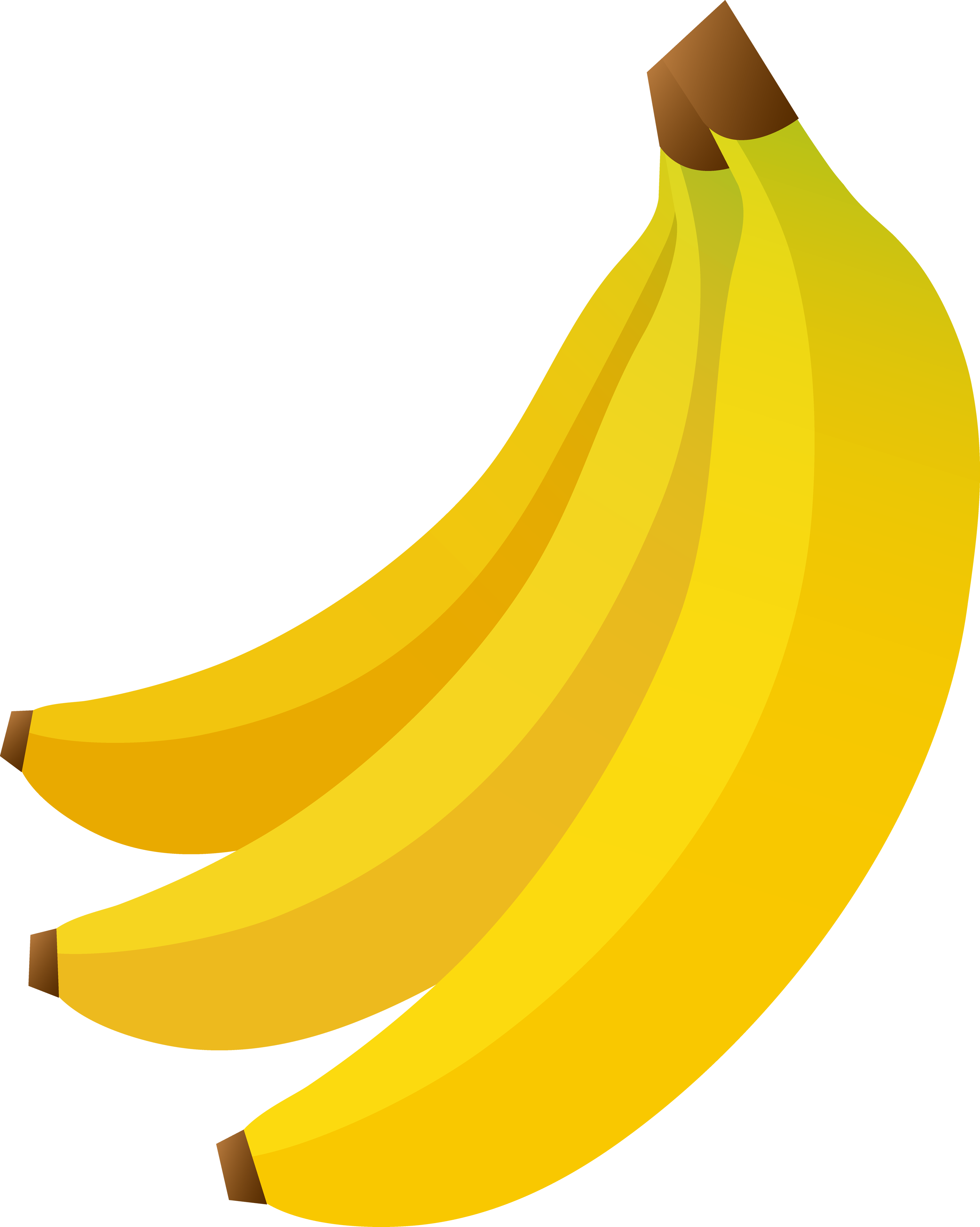 Banana Download Fruit Clip art - banana png download - 3063*3834 - Free