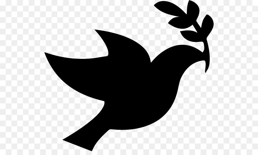 Columbidae Peace Doves as symbols Clip art - Baptism Dove png download - 592*527 - Free Transparent Columbidae png Download.