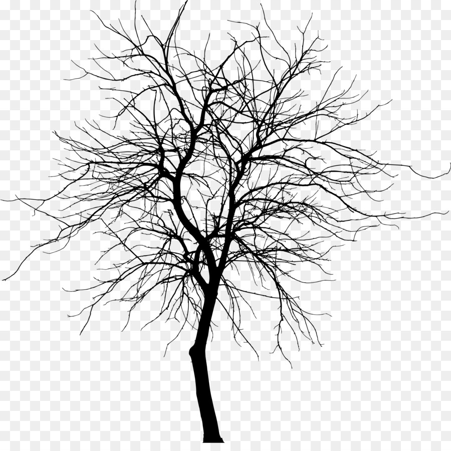 Tree Silhouette Branch Drawing Clip art - thin png download - 2179*2140 - Free Transparent Tree png Download.