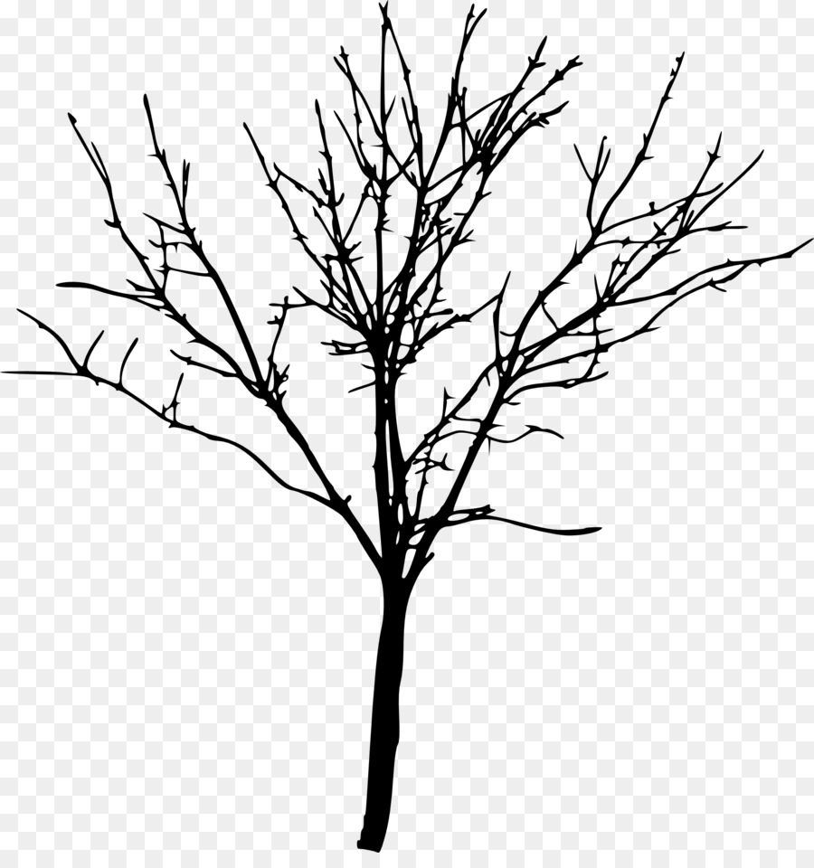 Tree Silhouette Branch Clip art - tree transparent png download - 1908*2000 - Free Transparent Tree png Download.