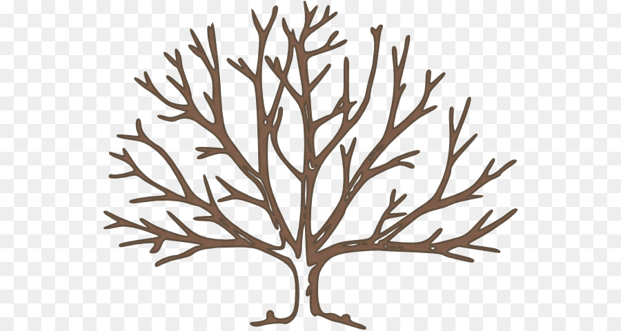 Tree Clip art - Bare Tree Template png download - 600*478 - Free Transparent Tree png Download.