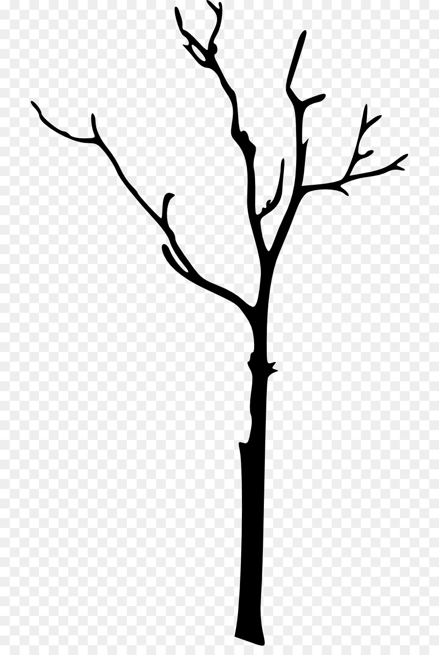 Silhouette Twig Clip art - Silhouette png download - 774*1321 - Free Transparent Silhouette png Download.