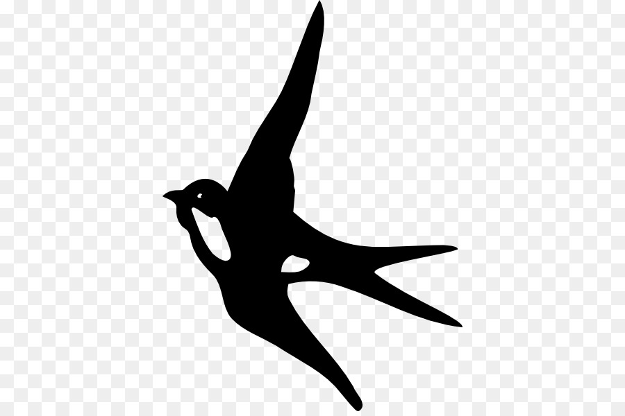 Swallow Clip art - Swallow Cliparts png download - 432*593 - Free Transparent Swallow png Download.