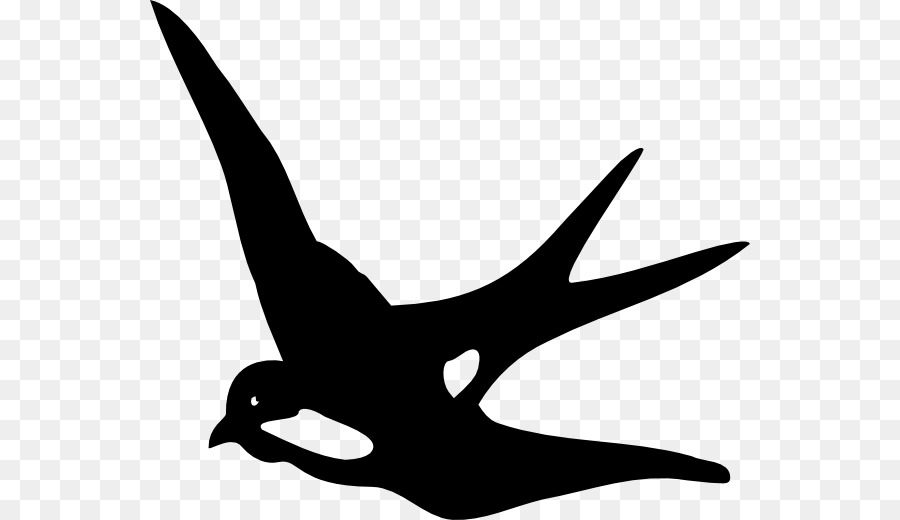 Swallow Clip art - Bird png download - 600*520 - Free Transparent Swallow png Download.
