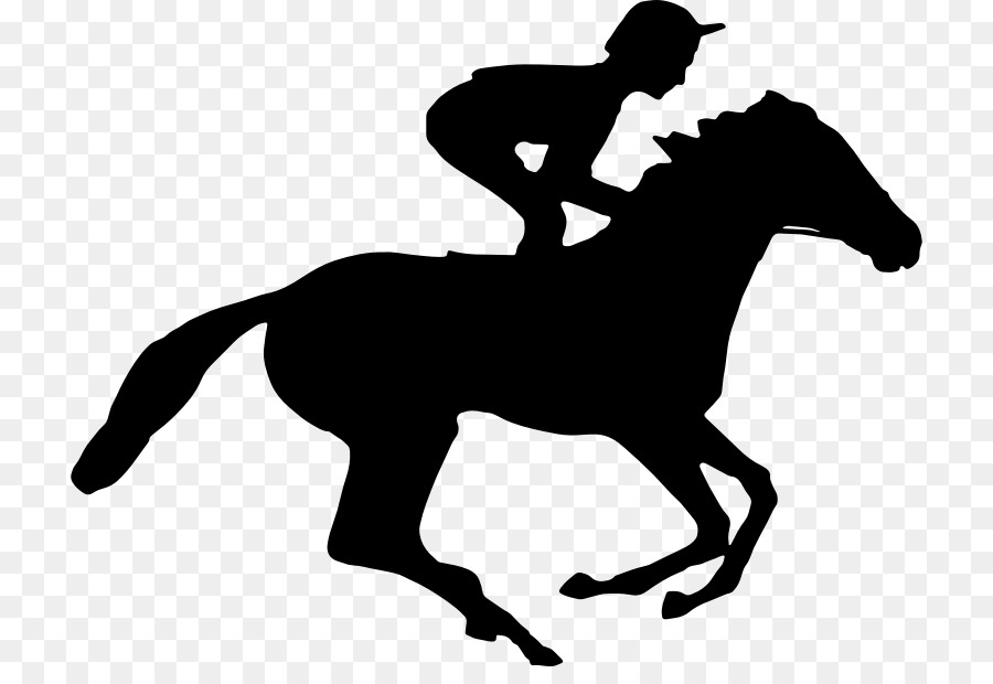 Horse racing Equestrian Jockey Standing Horse - horse riding png download - 772*604 - Free Transparent Horse png Download.