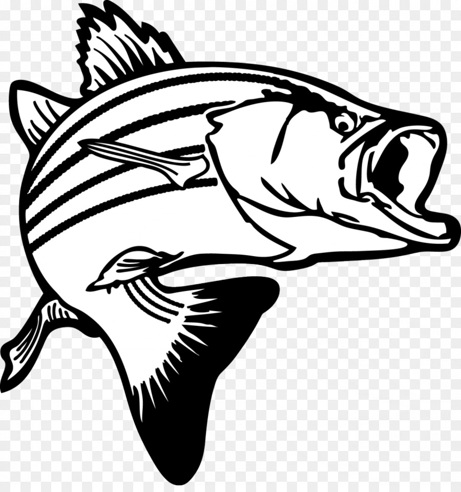 Largemouth bass Bass fishing Clip art - Salmon Cliparts png download - 940*989 - Free Transparent Bass png Download.