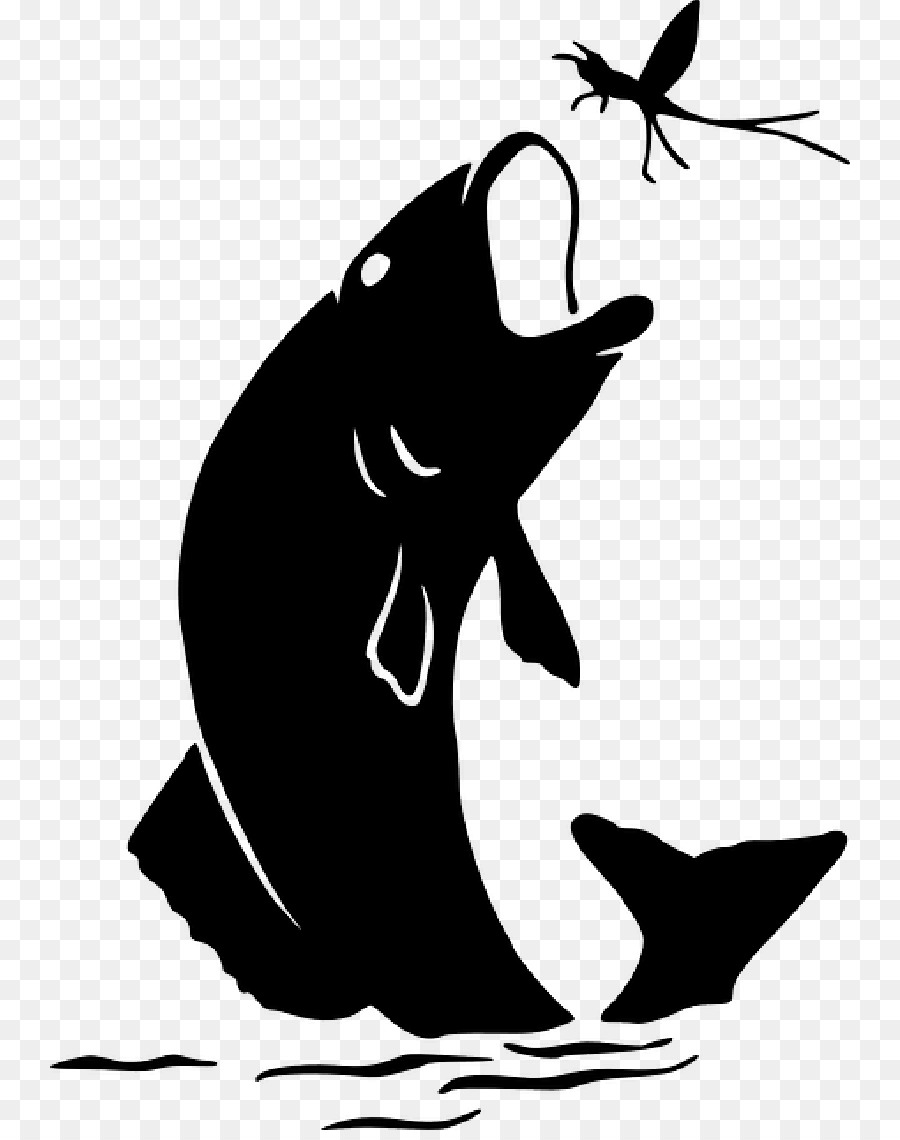 Vector graphics Clip art Bass fishing Image -  png download - 800*1130 - Free Transparent BASS Fishing png Download.