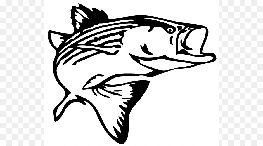 Striped bass fishing Decal Clip art - Bass Jumping Cliparts png download - 600*499 - Free Transparent Striped Bass png Download.