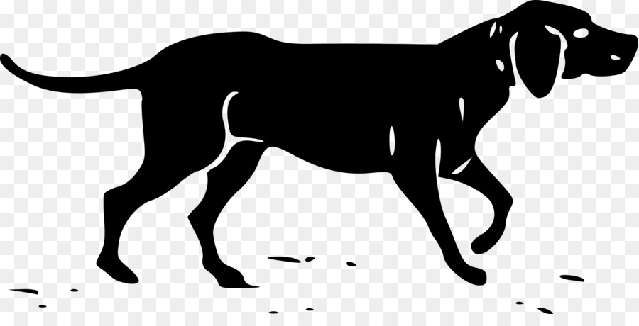 Basset Hound Southern Hound Hunting dog Clip art - dogs png download - 2400*1182 - Free Transparent Basset Hound png Download.