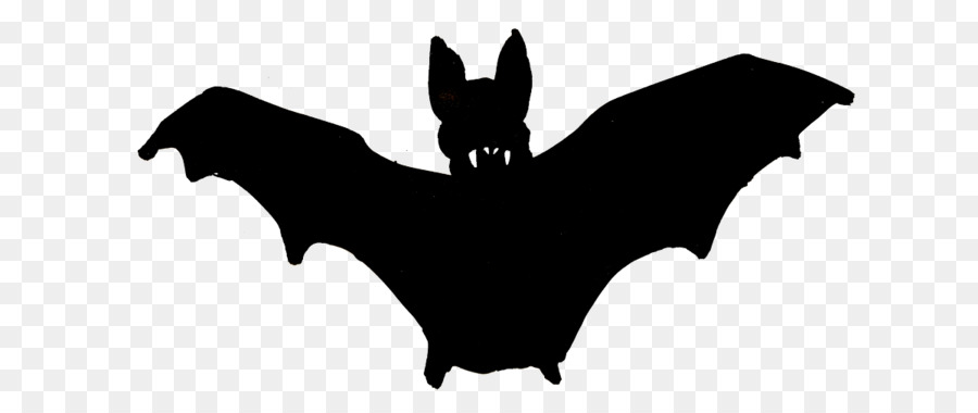 Vampire bat Silhouette Clip art - Vampire Bat Pictures png download - 1200*494 - Free Transparent Bat png Download.