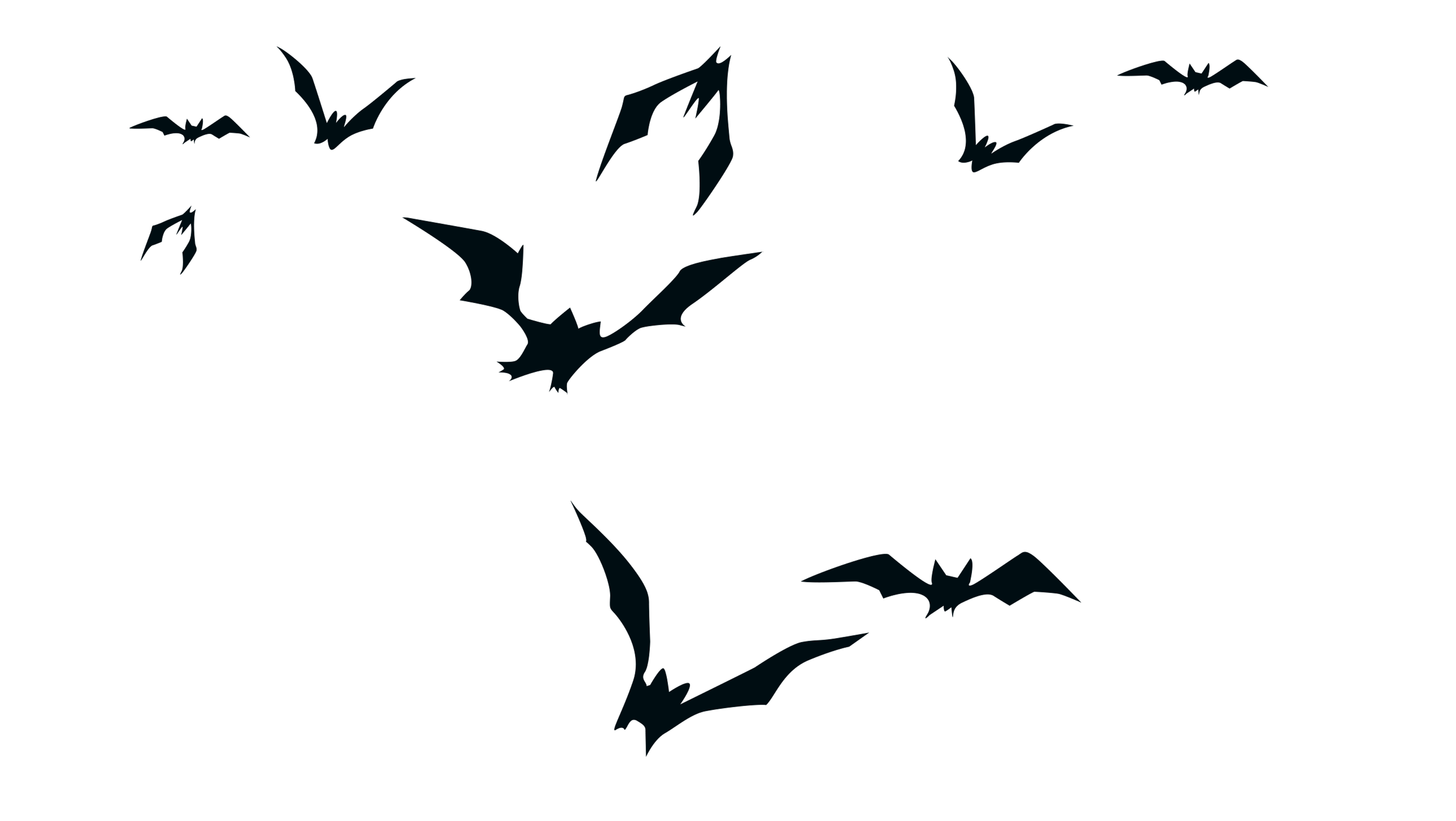 Transparent Background Bats Flying Png / They are the only mammals that