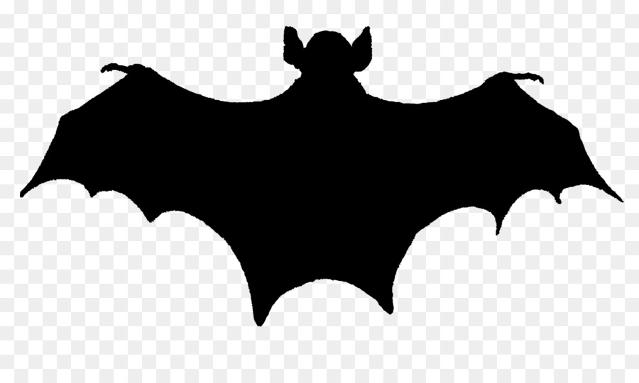 Bat Silhouette Clip art - bat png download - 1600*925 - Free Transparent Bat png Download.