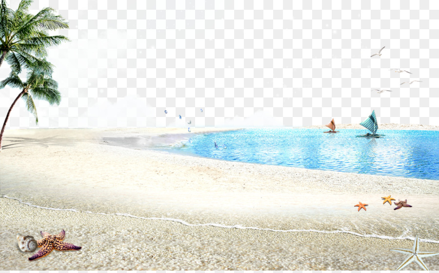 Beach Poster Accommodation - Beach ocean background png download - 2844*1753 - Free Transparent Beach png Download.