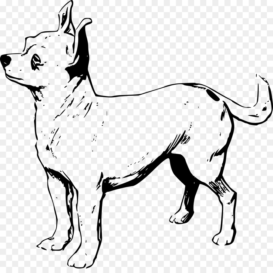 Chihuahua Beagle Puppy Line art Clip art - puppy png download - 2400*2361 - Free Transparent Chihuahua png Download.