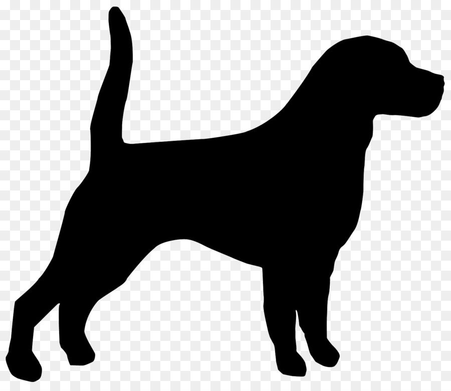 Beagle Bloodhound English Mastiff Affenpinscher Puppy - retriever clipart png download - 1487*1278 - Free Transparent Beagle png Download.