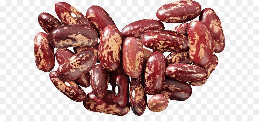 Common Bean Runner bean Sujuk Adobo - beans vejitble png download - 665*403 - Free Transparent Common Bean png Download.