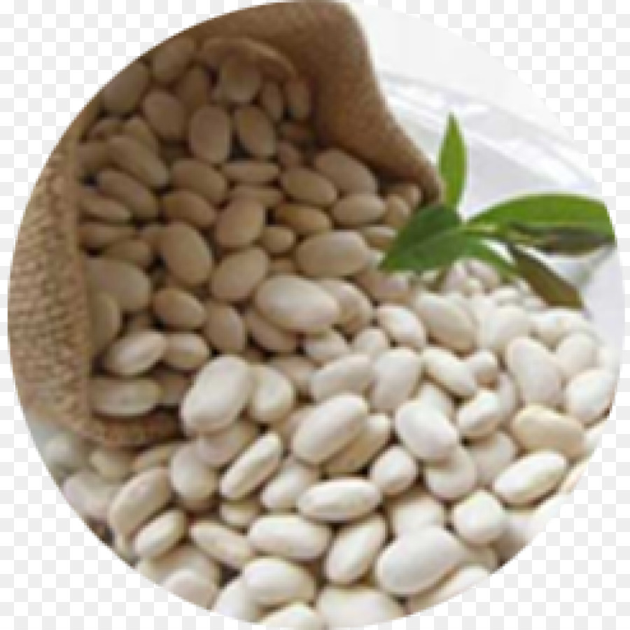 Kidney bean Navy bean Dal Carbohydrate - black beans png download - 1024*1024 - Free Transparent Kidney Bean png Download.