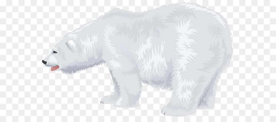 Polar bear Cuteness North Pole - White Polar Bear Transparent PNG Clip Art Image png download - 4138*2482 - Free Transparent Bear png Download.