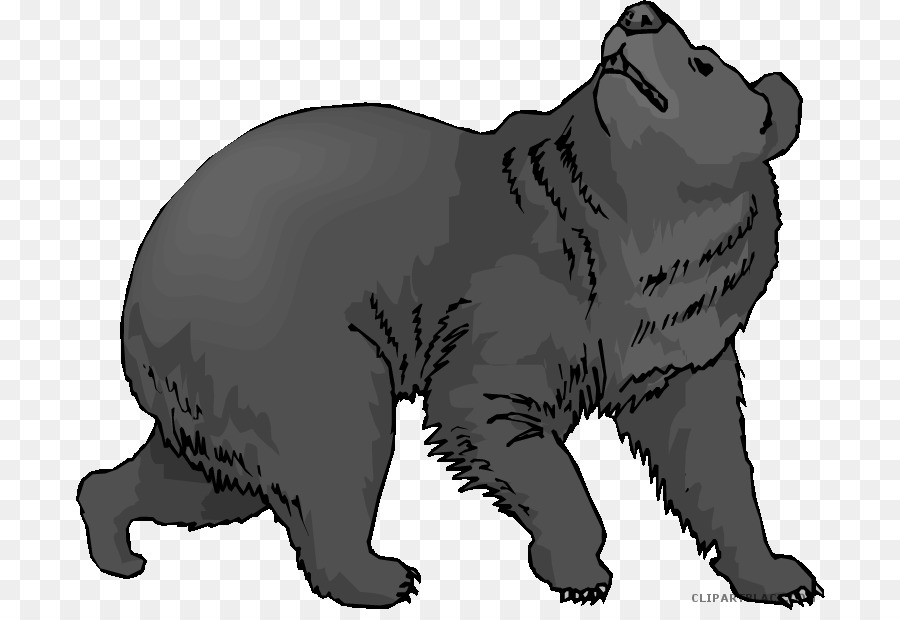 American black bear Clip art Grizzly bear Polar bear - bear png download - 750*611 - Free Transparent  png Download.
