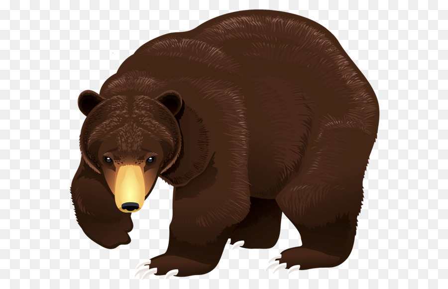Brown bear Portable Network Graphics Vector graphics Clip art - bear png download - 650*574 - Free Transparent Bear png Download.