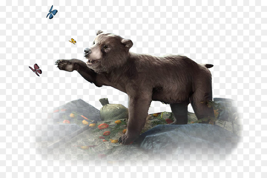 Brown bear Polar bear American black bear Elder Scrolls Online: Morrowind - Bear Cub png download - 768*594 - Free Transparent Bear png Download.