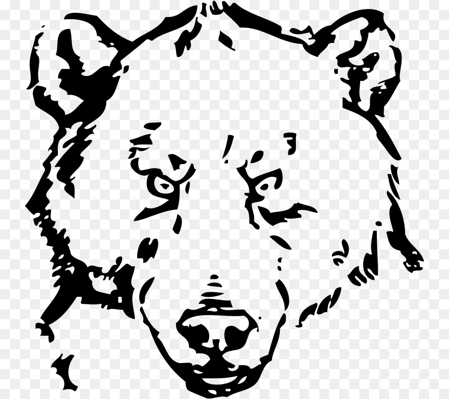 American black bear Drawing Clip art - bear png download - 800*800 - Free Transparent  png Download.