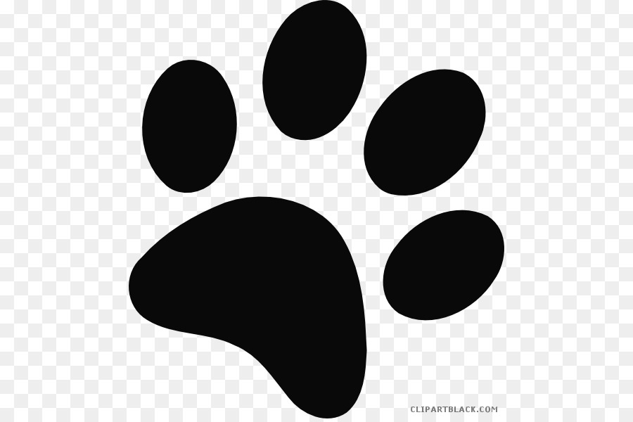 Cat Bear Dog Paw Tiger - cat png download - 534*595 - Free Transparent Cat png Download.