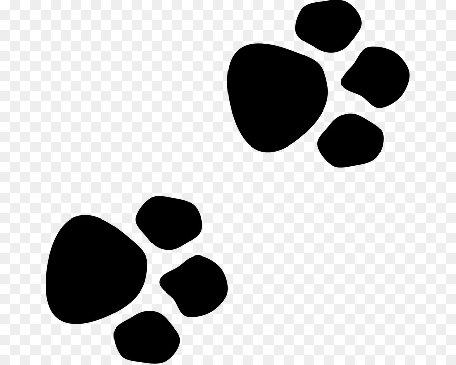 Wildcat Dog Paw Bear - paw png download - 720*720 - Free Transparent Cat png Download.