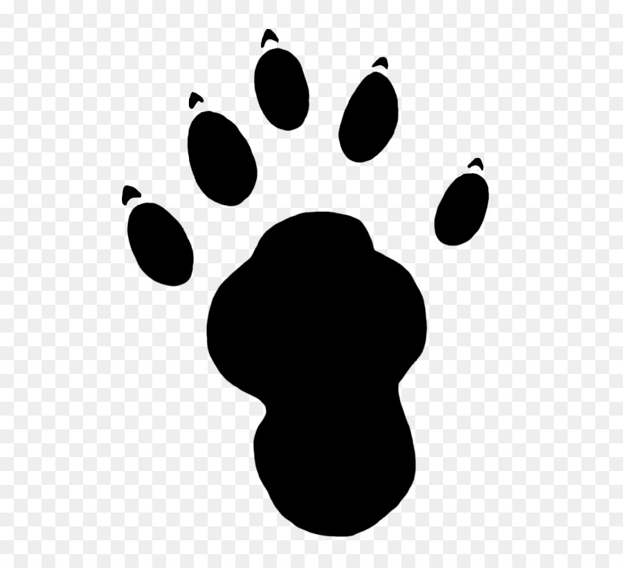 Sea otter Paw Footprint Clip art - otter png download - 609*816 - Free Transparent Otter png Download.