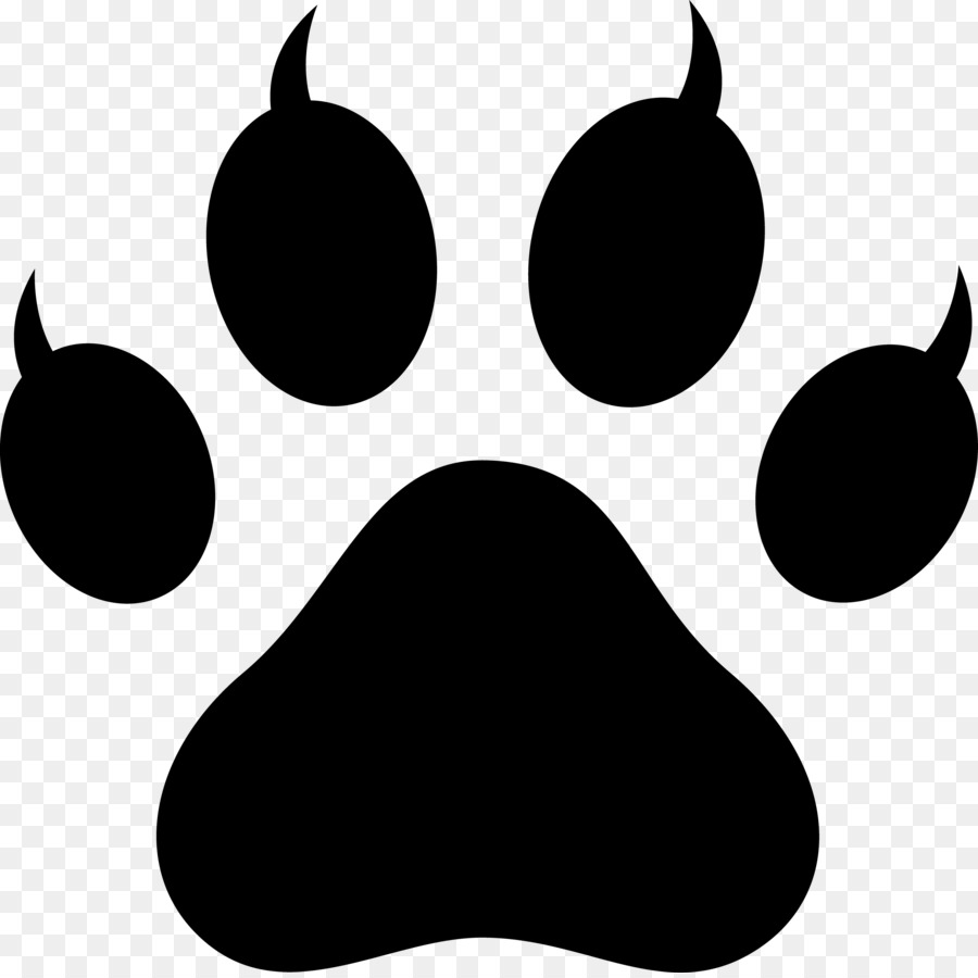 Dog Cat Paw Tiger Clip art - black paw prints png download - 3873*3852 - Free Transparent Dog png Download.