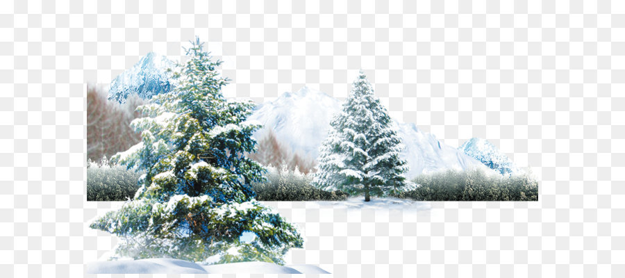 Polar bear Winter Light Wallpaper - Winter scene png download - 866*525 - Free Transparent Polar Bear png Download.
