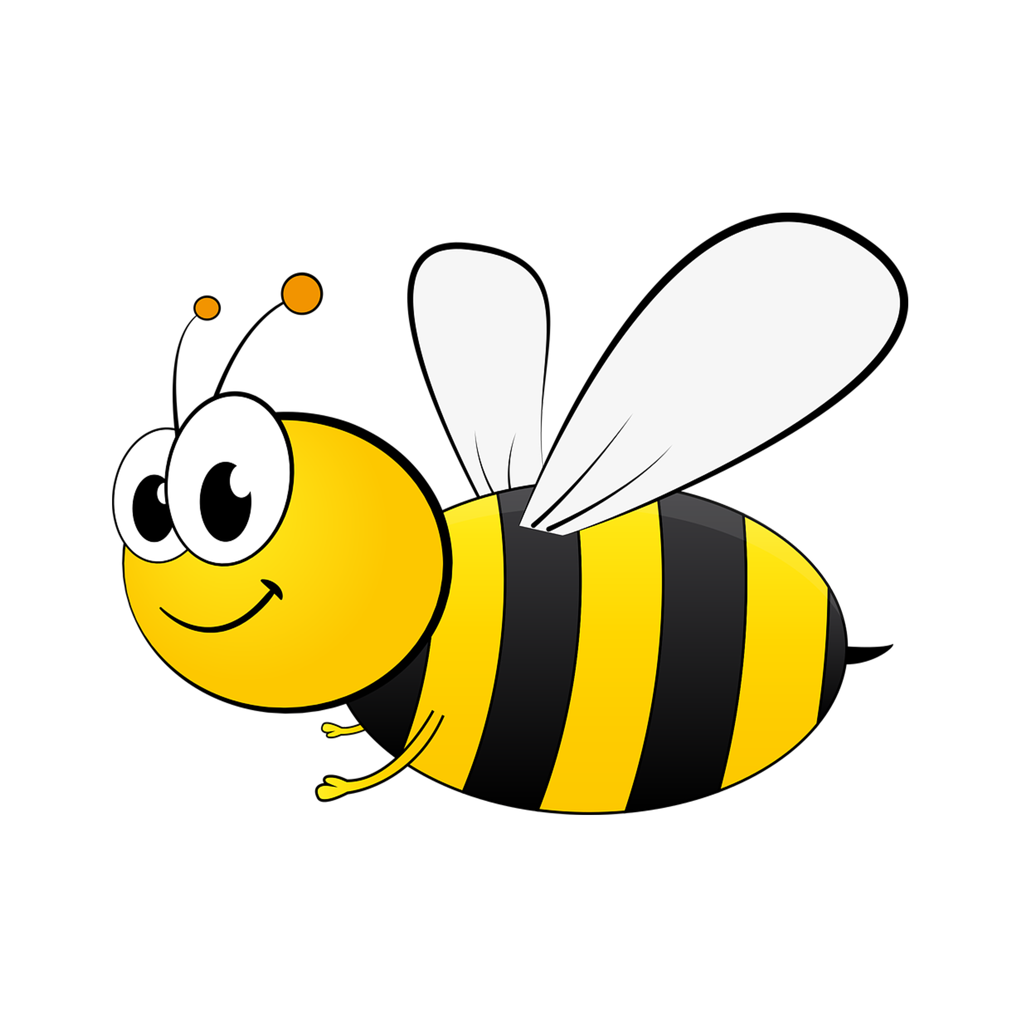 Bee Png Svg Clip Art For Web Download Clip Art Png Icon Arts