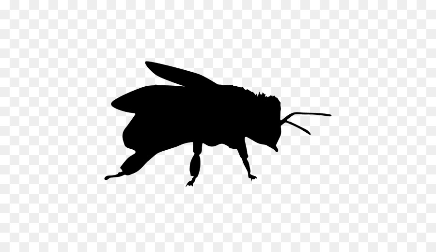 Silhouette Insect Drawing Honey bee Clip art - Silhouette png download - 512*512 - Free Transparent Silhouette png Download.