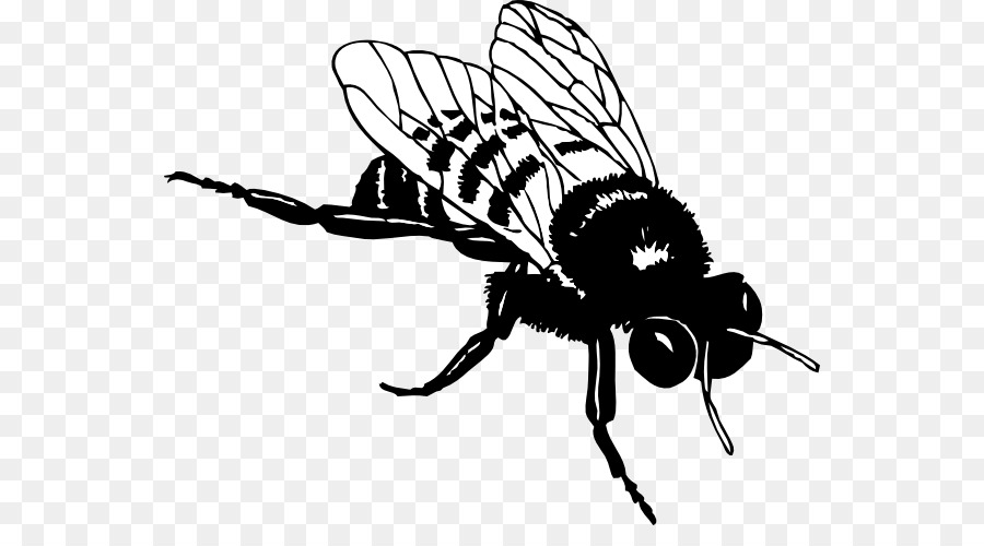 European dark bee Black and white Bumblebee Clip art - Bee Silhouette Cliparts png download - 600*481 - Free Transparent European Dark Bee png Download.