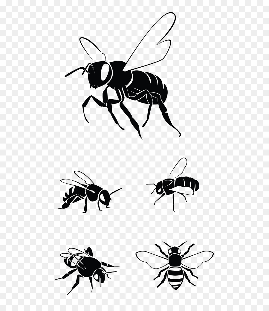 Free Bee Silhouette Vector Download Free Clip Art Free Clip Art