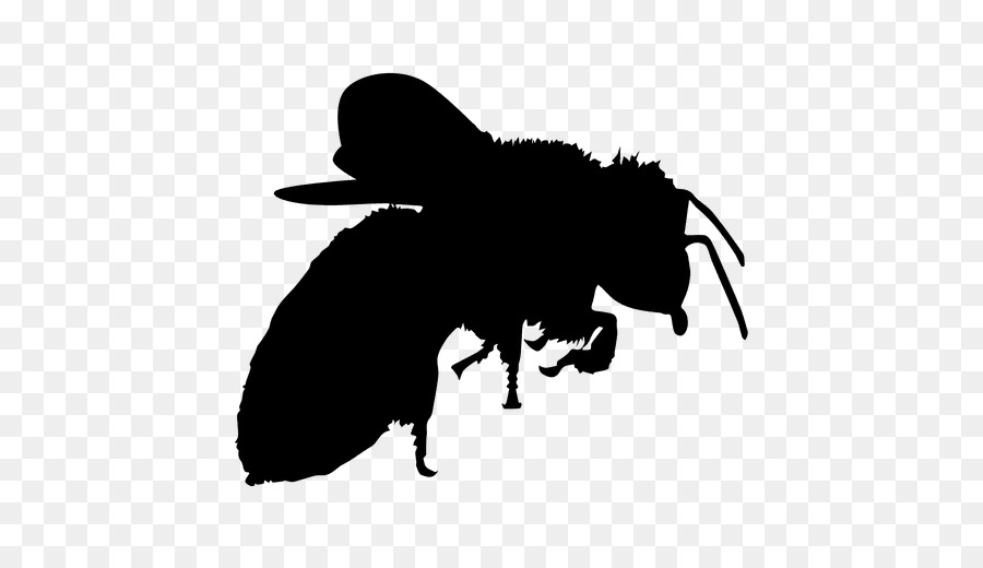 European dark bee Insect Stencil Honey bee - bees png download - 900