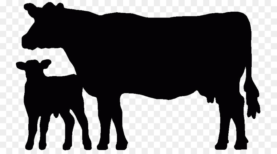 Angus cattle Beef cattle Welsh Black cattle Holstein Friesian cattle Calf - bull png download - 800*492 - Free Transparent Angus Cattle png Download.