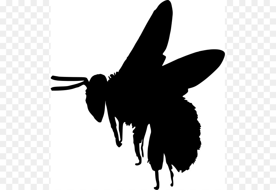 European dark bee Silhouette Bumblebee Clip art - Bee Silhouette Cliparts png download - 569*620 - Free Transparent European Dark Bee png Download.