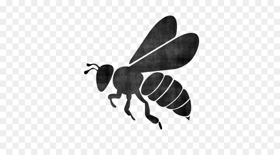 European dark bee Silhouette Queen bee - bee png download - 500*500 - Free Transparent European Dark Bee png Download.